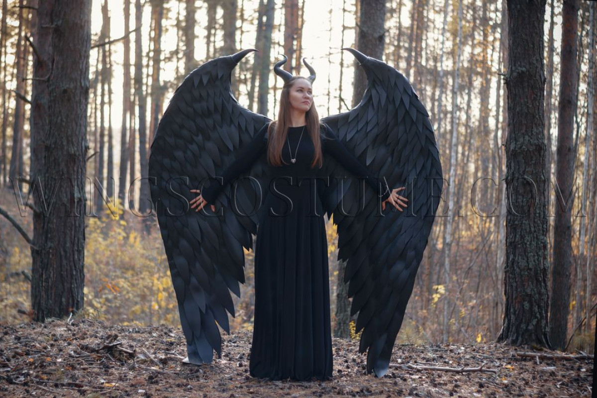 Maleficent s wings